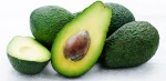 Fuerte Fresh Avocado