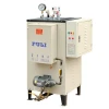 FULI brand electric fired steam boiler