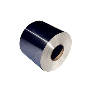 Full Hard and Soft Aisi 301 Thin Stainless Steel Strip