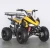 Import Gas four wheelers plastic snowmobile atv bike for kids from China