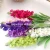 Import GIGA cheap wholesale dried violet flowers from China