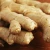 Import Ginger buyers/fresh ginger from China