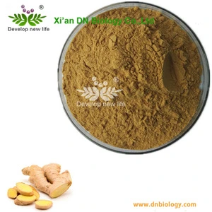 Ginger rhizome p.e. / Ginger Extract / Gingerols 5% ginger extract powder