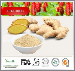 GMP certificate Pure Ginger Extract Powder, Ginger Root Extract in bulk