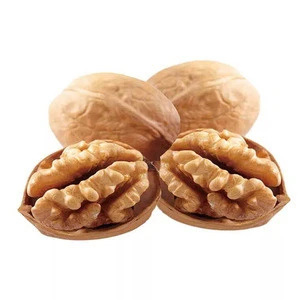 Grade AAA Grade Fresh Style Wholesale  walnut shell halves