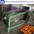 Import Grading Type Cashew Nut Sorting Machine /cashew nut processing machine008613837162172 from China