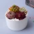 Import grass plant indoor potted little decorative mini small succulent flower pots cute planters chinese cartoon White ceramic cheapes from China