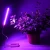 Import Grow lamp for indoor plants , USB tube Led Grow Light from China