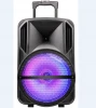 Guangzhou factory  price supply 15 inch Karaoke player BT Professional Powered Trolley speaker Box