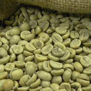 Guatemalan green coffe beans