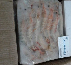 headless frozen style shrimps