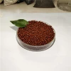 High Purity High End Organic Bio Fertilizer Granular Necessary For Instant Agriculture