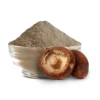 High purity 100% Organic Shiitake  Mushroom powder  Green Wholesale  Price