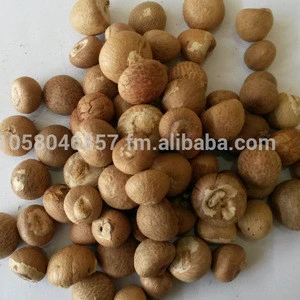 High Quality Betel Nut Dried Whole (80-85%) from Indonesia