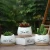 Import High Quality Cute Cat Shape Animal Succulent Plant Flower Pots With Tray from China