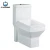 Import High Quality Elongated One Piece Toilet Water Closet With Slow Down Seat Cover from China