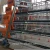 Import High quality factory price battery cage the service life of 25 years from China