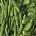 https://img2.tradewheel.com/uploads/images/products/0/8/high-quality-fresh-cucumber1-0555357001556784643-150-.jpg.webp