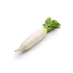 High quality Fresh vegetables and fruits TURNIP Suppliers Vietnam brand