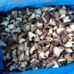 High Quality Frozen Vegetables Iqf Shitake Mushroom Frozen Shitake Mushroom with Best Price