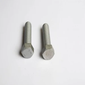 High Quality HDG hot dip galvanizing Hex Bolt With Profession Production Line