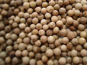 High quality low price seasoning white pepper