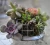 Import Home Other Garden Supplies Succulent and Orchid Planting Medium Long-fiber Moss from China