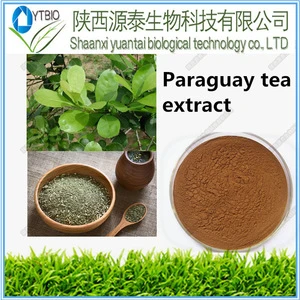 HOT SALE natural Ilex paraguariensis/ParaguayTea plant extract/Yerba Mate Extract powder