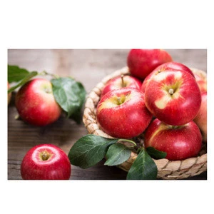 Hot Selling Fresh Apples Fruits for Sale Red Fresh Apple