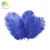 Import Hotel Wedding Decoration Ostrich Feather for Art Performance from China