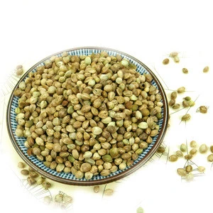 Hulled / Shelled Hemp Seeds Organic and Conventional