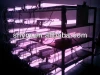 induction grow lamp 600w with UL,CE