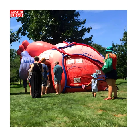 Large Inlfatable Medical Models Buy Inflatable Brain Heart Tent Model Human Body Large Organs For ...