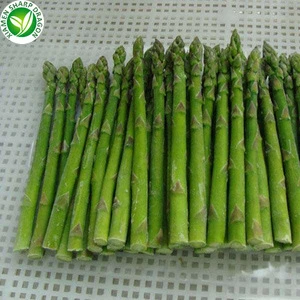 IQF Fresh Frozen Green Asparagus Price