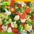 Import iqf Frozen Mixed Vegetable Carrot Green Pea Green Bean Sweet Corn Bulk from China