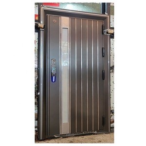 Kerala style SS main door designs door designs with stainless steel strip HL-2019