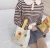 Import korea style stock cute cotton canavas embroidery women handbag orgnizer shopping bag from China