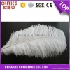 Large white carnival festival ostrich feather For Wedding and party Decoration