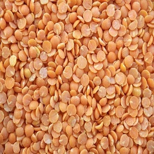 Lentils HPS quality dry green export/lentils