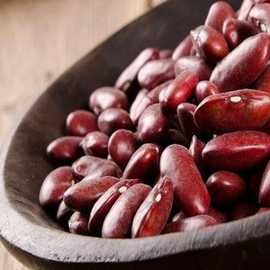 light speckled kidney beans long shape(White/Black&Red)