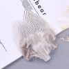 Loose White Silver Pheasant Head Feather For Fly Tying Material Cheap Sale