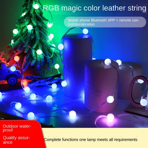 Buy Magic Color Light String Leather Line Courtyard App Intelligent ...