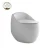 Import Matt Black Color Egg Shape Siphonic ceramic washdown One Piece Toilet from China