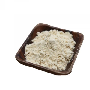 Milky White Powder Free Carbohydrate Organic Pea Protein