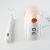 Import Mini handy face mist nano sreamer facial instrument home appliance  garment steamer from China