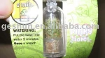 mini plant in key chains
