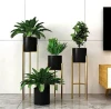 Modern Gold Metal Floor Flower Stand and Plant Planter Set of 3 Tall Indoor Stand with Planter Pot for Living Room Bedroom black