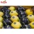 Import Montale Worldwide Sale Organic Oranges From Farm Fresh Lemon from China