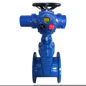 Multi-turn electric actuator 4 inch PN16 cast iron industrial flange type gate valve water price
