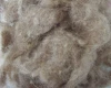 natural color wool fiber/wool waste/animal hair